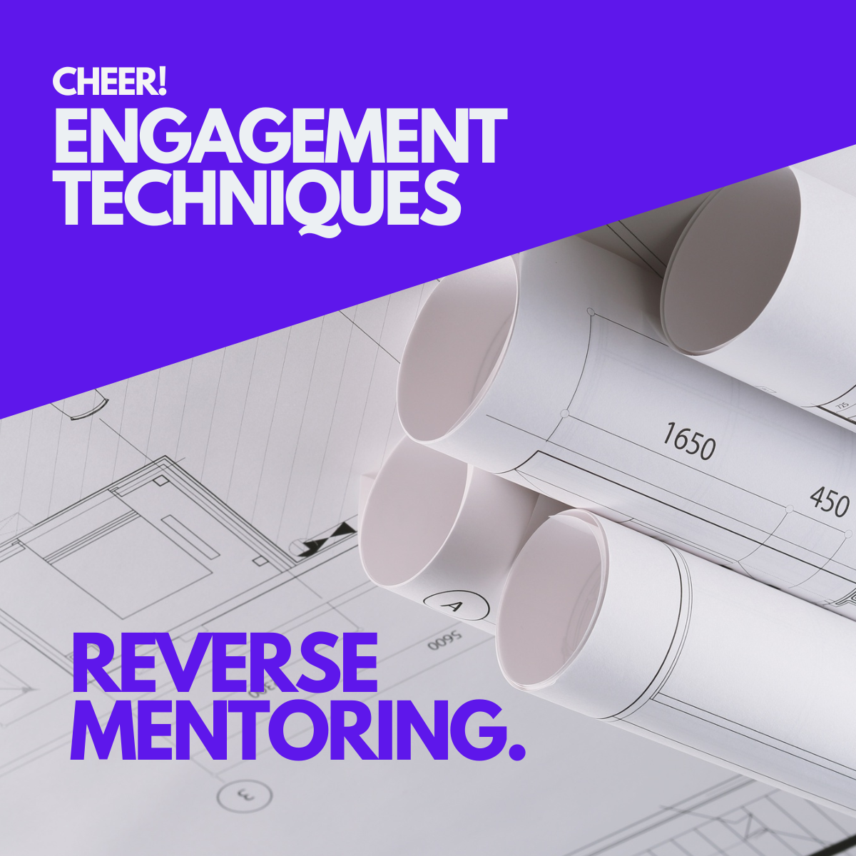 Reverse Mentoring