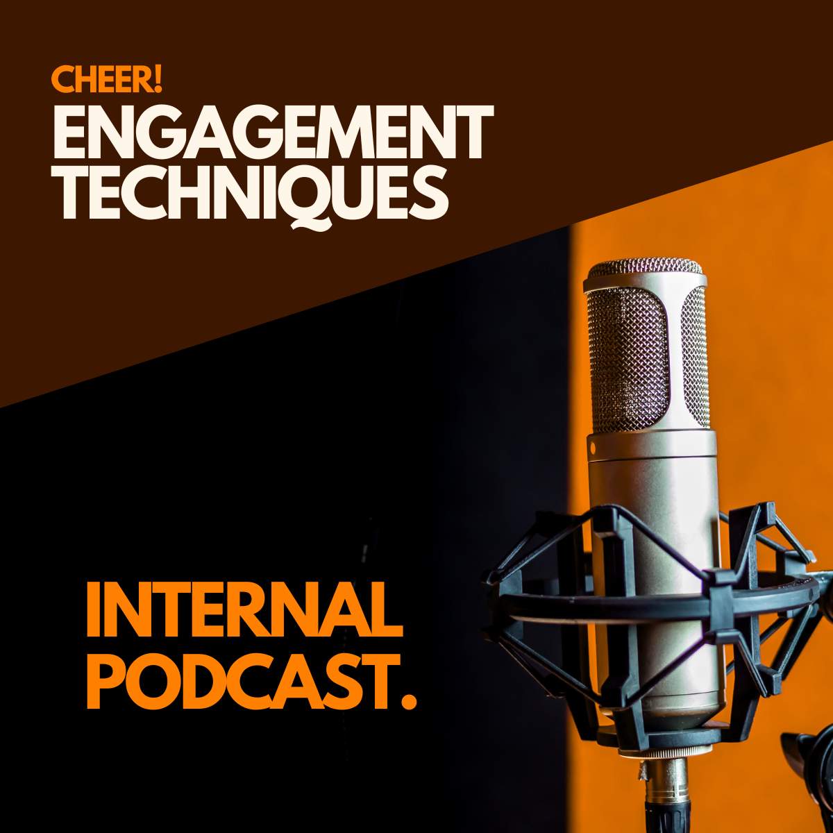 Internal Podcast